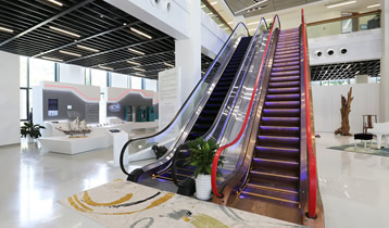 辛勤的汗水換來豐碩的果實,始終堅持用心服務(wù)